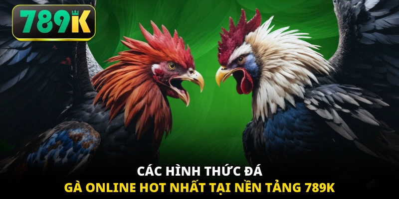 Các hình thức đá gà online hot nhất tại nền tảng 789K