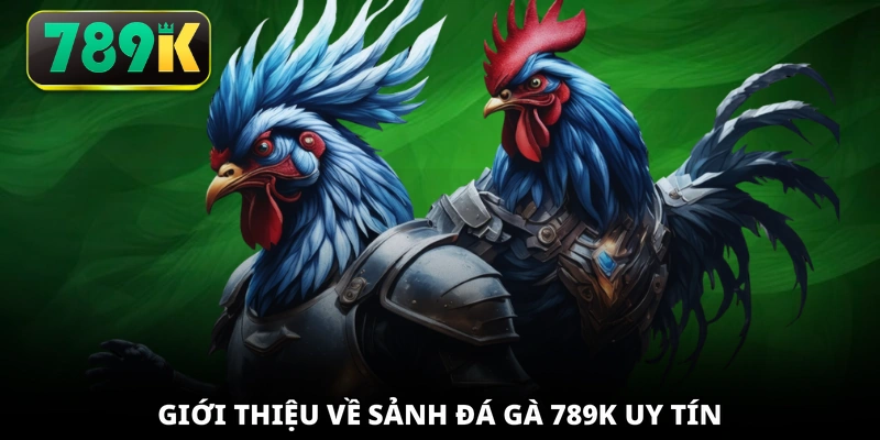 Giới thiệu về sảnh đá gà 789K uy tín