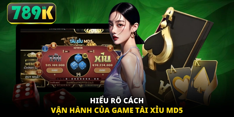 Hiểu rõ cách vận hành của game Tài Xỉu MD5