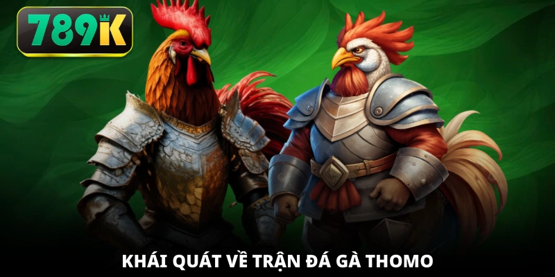 Khái quát về trận đá gà Thomo