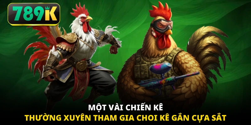 Một vài chiến kê thường xuyên tham gia chọi kê gắn cựa sắt