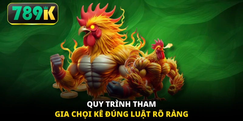 Quy trình tham gia chọi kê đúng luật rõ ràng
